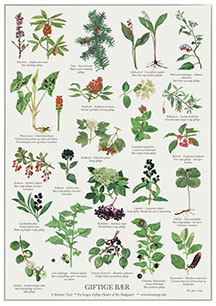 Plakat planter