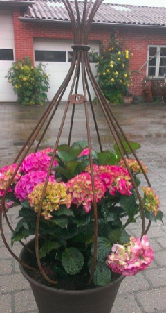 Regn Centimeter Forlænge Plantesøjler, rosenbuer, espalier, obelisker og blomster borde
