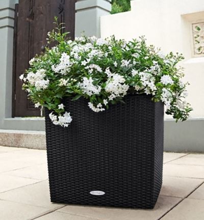 Krukker med selvvanding audebo havecenter Blomsterkrukker i sort flet