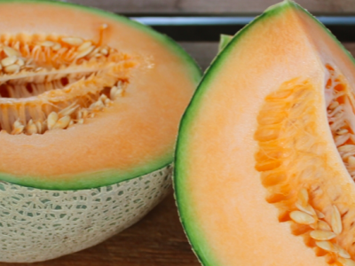 Melon, Squash osv.