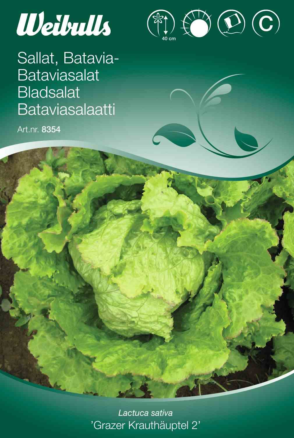 Salat batavia grazer - Weibull Frø - Audebo Havecenter